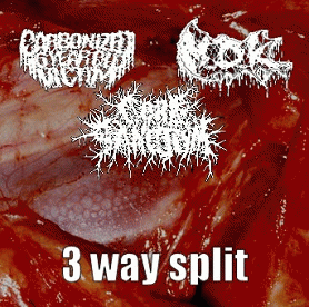 Gore Sanctum : 3 Way Split
